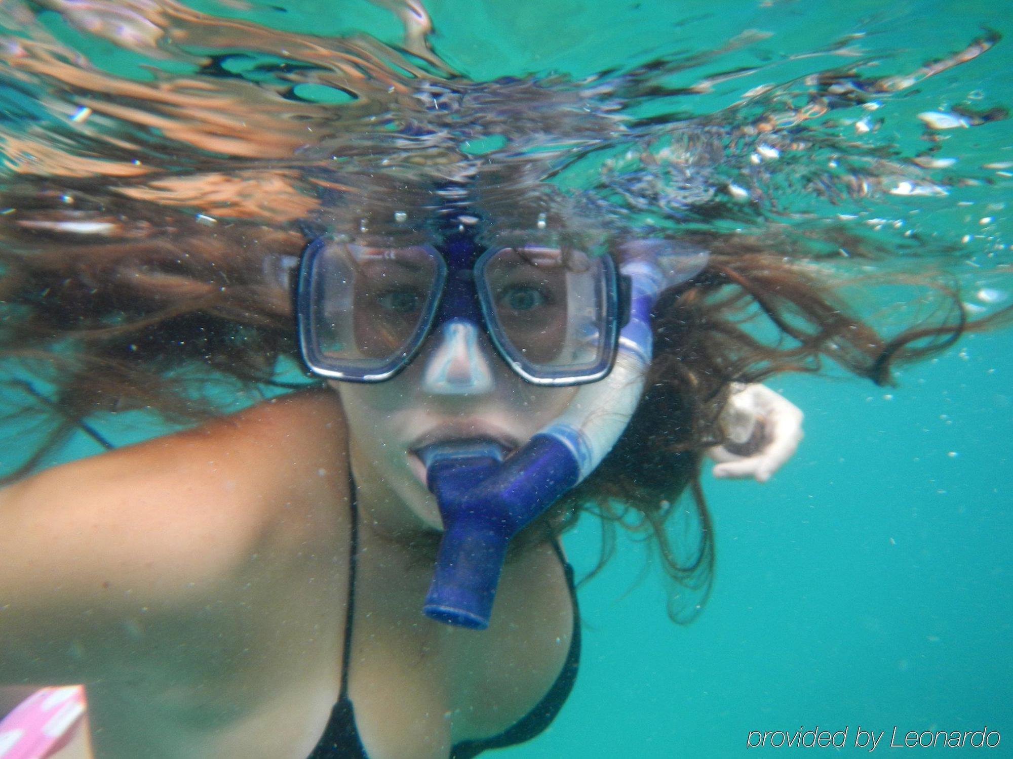 קריסטיאנסטד Tamarind Reef Resort Spa & Marina מראה חיצוני תמונה